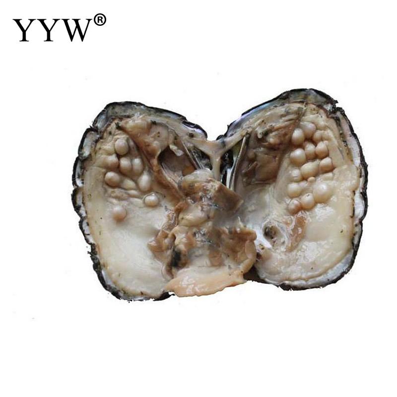 Vacuum Pack Oyster Wish Freshwater Pearl Mussel Shell With Pearl 2017 new arrival Mysterious Gift Surprise Vacuum pack pearl